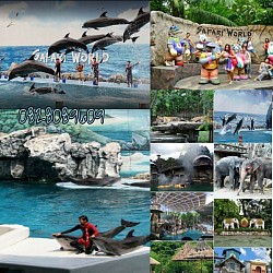 ซาฟารีเวิลด์